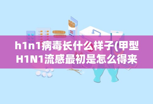 h1n1病毒长什么样子(甲型H1N1流感最初是怎么得来的)