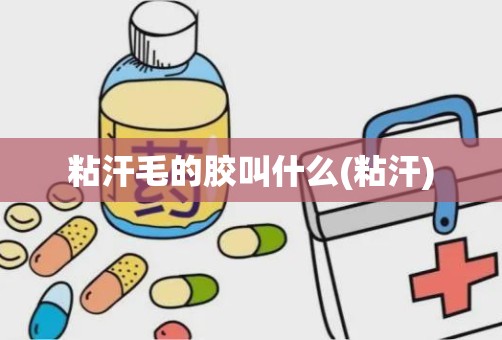 粘汗毛的胶叫什么(粘汗)