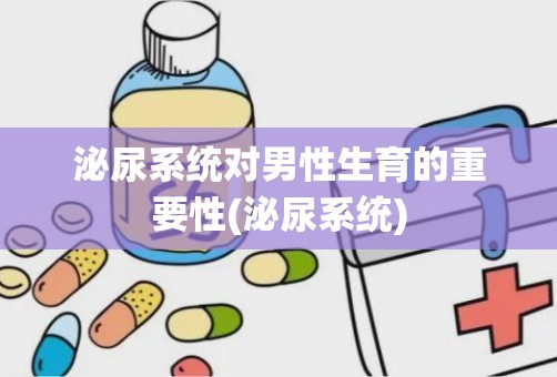 泌尿系统对男性生育的重要性(泌尿系统)