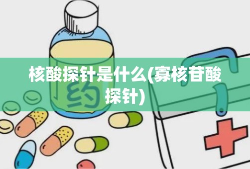 核酸探针是什么(寡核苷酸探针)