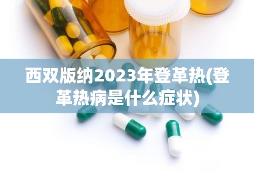 西双版纳2023年登革热(登革热病是什么症状)