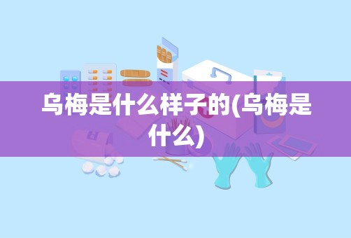 乌梅是什么样子的(乌梅是什么)