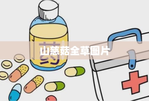 山慈菇全草图片