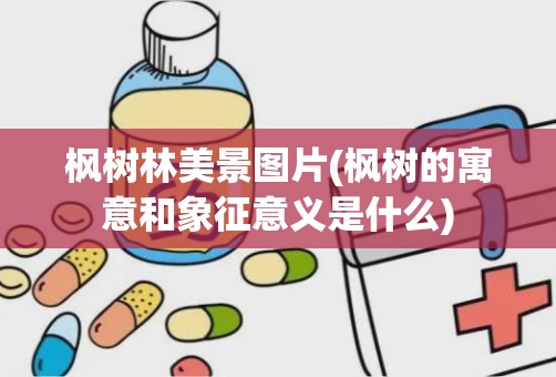 枫树林美景图片(枫树的寓意和象征意义是什么)