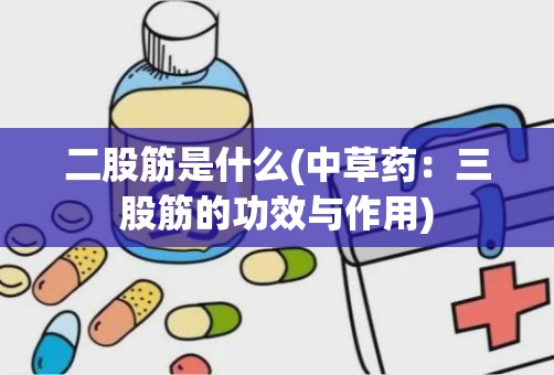 二股筋是什么(中草药：三股筋的功效与作用)