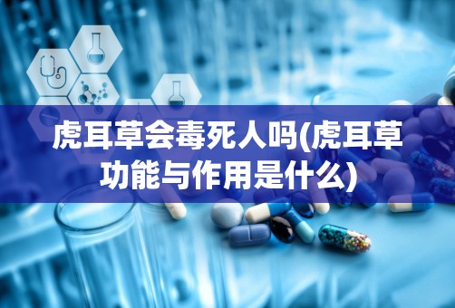 虎耳草会毒死人吗(虎耳草功能与作用是什么)