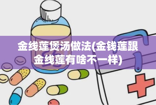 金线莲煲汤做法(金钱莲跟金线莲有啥不一样)