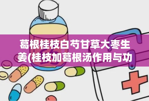 葛根桂枝白芍甘草大枣生姜(桂枝加葛根汤作用与功效,有什么副作用)