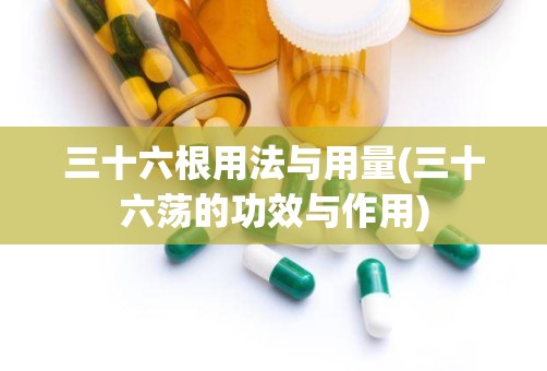 三十六根用法与用量(三十六荡的功效与作用)