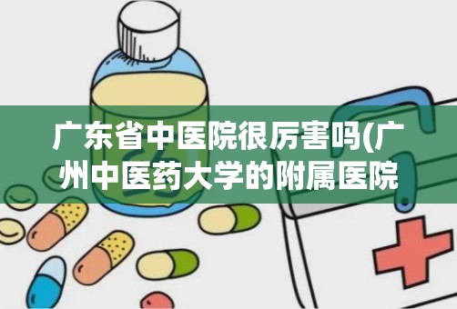 广东省中医院很厉害吗(广州中医药大学的附属医院有哪些)