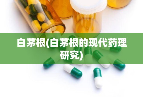 白茅根(白茅根的现代药理研究)