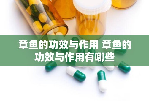 章鱼的功效与作用 章鱼的功效与作用有哪些