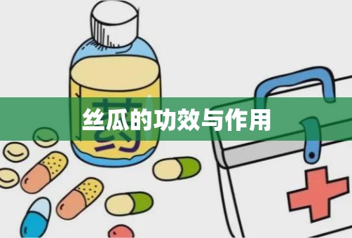 丝瓜的功效与作用