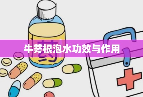 牛蒡根泡水功效与作用