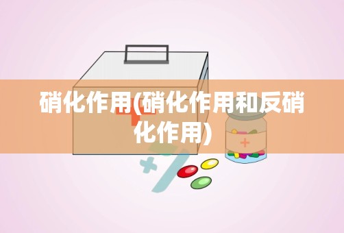 硝化作用(硝化作用和反硝化作用)