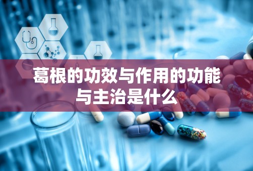 葛根的功效与作用的功能与主治是什么