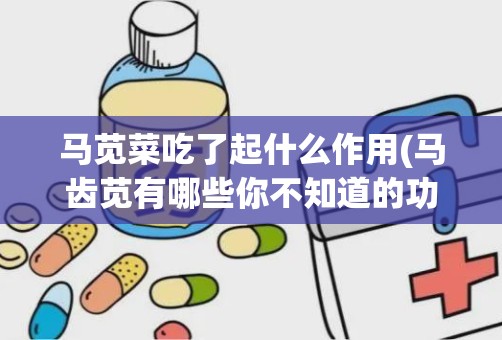 马苋菜吃了起什么作用(马齿苋有哪些你不知道的功效)