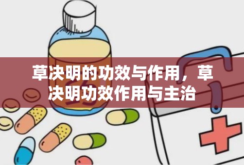 草决明的功效与作用，草决明功效作用与主治