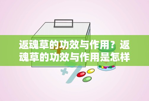 返魂草的功效与作用？返魂草的功效与作用是怎样的