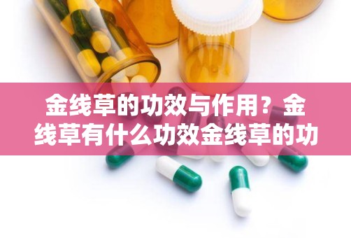 金线草的功效与作用？金线草有什么功效金线草的功效与作用