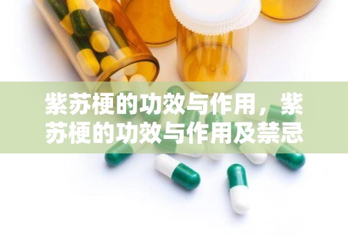 紫苏梗的功效与作用，紫苏梗的功效与作用及禁忌是什么