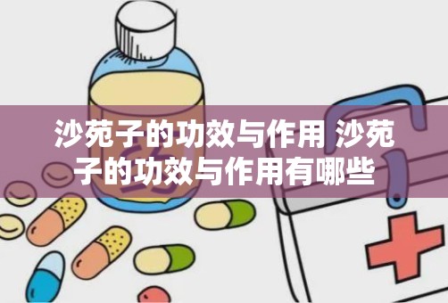 沙苑子的功效与作用 沙苑子的功效与作用有哪些