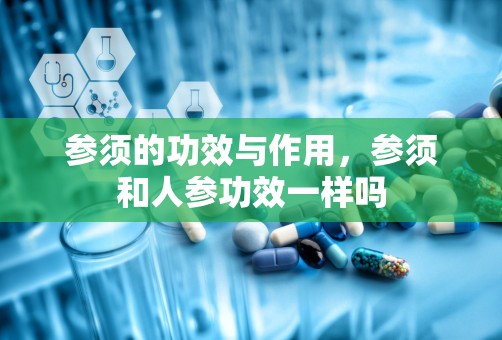 参须的功效与作用，参须和人参功效一样吗