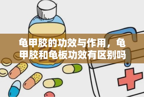 龟甲胶的功效与作用，龟甲胶和龟板功效有区别吗