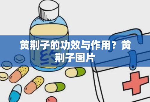 黄荆子的功效与作用？黄荆子图片