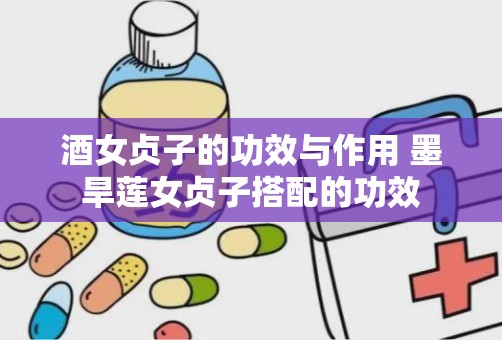 酒女贞子的功效与作用 墨旱莲女贞子搭配的功效