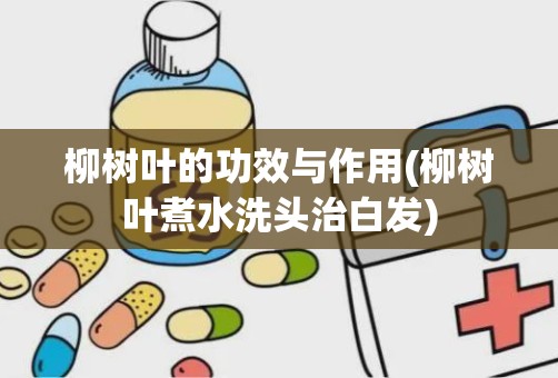 柳树叶的功效与作用(柳树叶煮水洗头治白发)