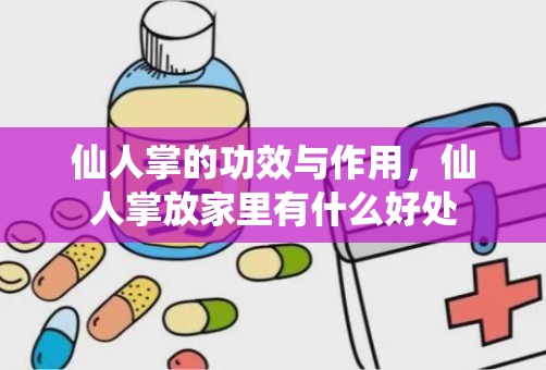 仙人掌的功效与作用，仙人掌放家里有什么好处