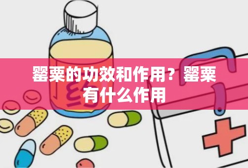 罂粟的功效和作用？罂粟有什么作用