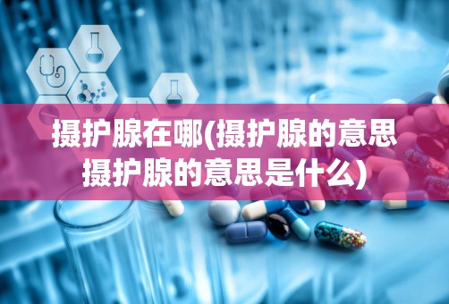 摄护腺在哪(摄护腺的意思摄护腺的意思是什么)