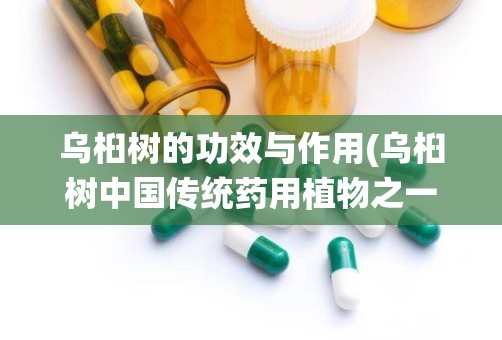 乌桕树的功效与作用(乌桕树中国传统药用植物之一)