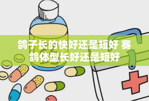 鸽子长的快好还是短好 赛鸽体型长好还是短好