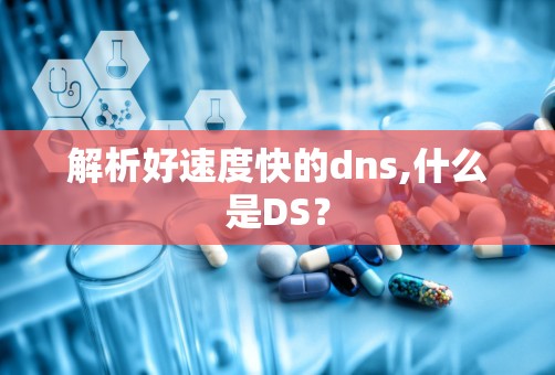 解析好速度快的dns,什么是DS？