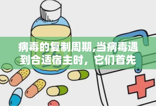 病毒的复制周期,当病毒遇到合适宿主时，它们首先通过表面的蛋白质（又称为受体结合蛋白）与宿主细胞的特定受体结合