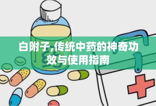 白附子,传统中药的神奇功效与使用指南