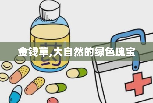 金钱草,大自然的绿色瑰宝