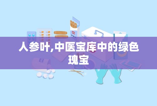 人参叶,中医宝库中的绿色瑰宝