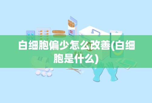 白细胞偏少怎么改善(白细胞是什么)