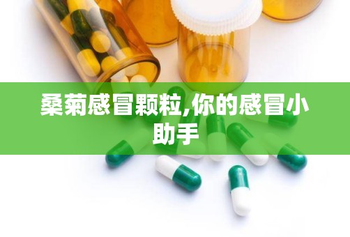 桑菊感冒颗粒,你的感冒小助手