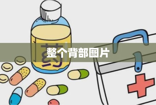 整个背部图片