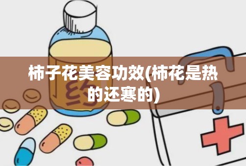 柿子花美容功效(柿花是热的还寒的)