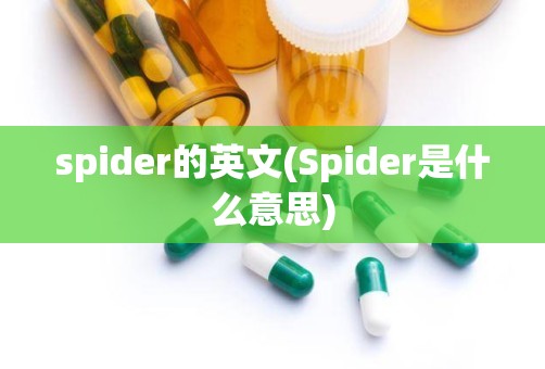 spider的英文(Spider是什么意思)